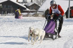 Lenk 2012 SM
